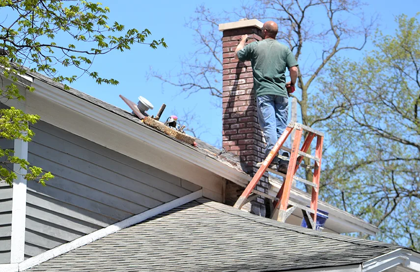 Chimney & Fireplace Inspections Services in Fernley, NV